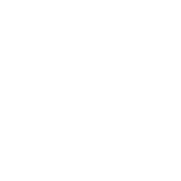 Rust